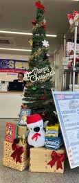 クリスマスがきます…(*'ω'*)